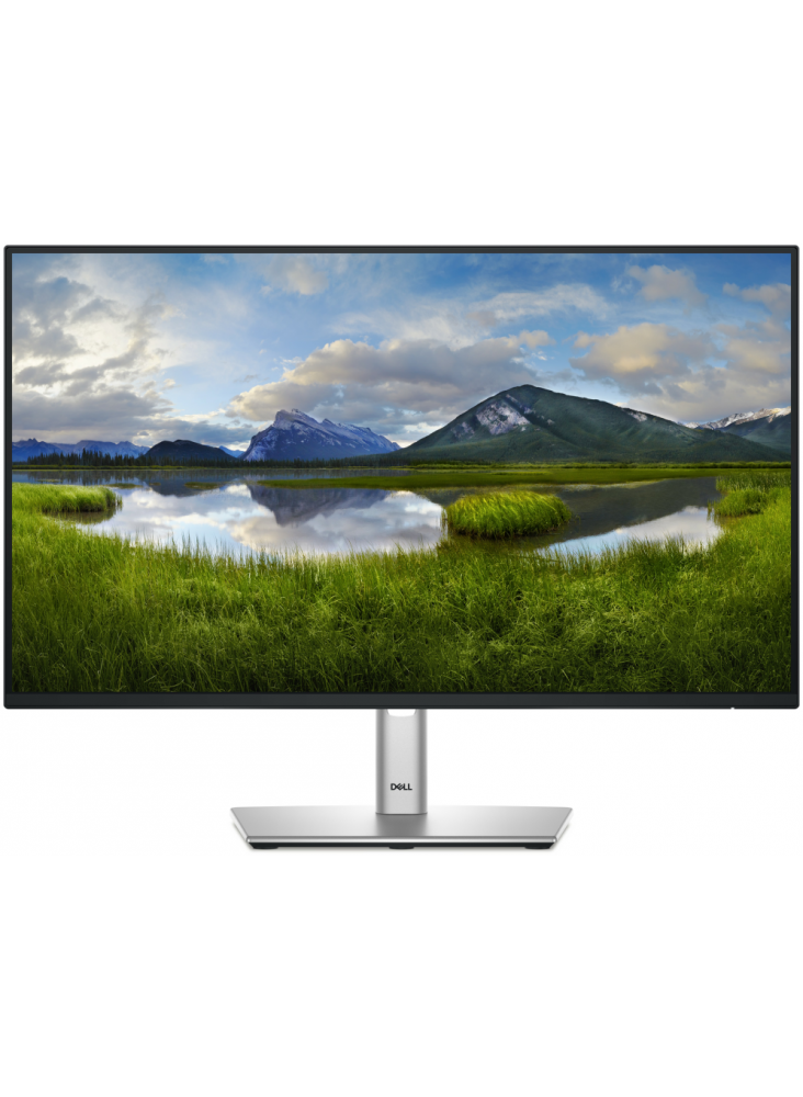 Monitor Dell P2425H 23.8" Full HD