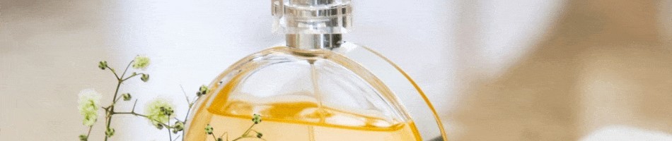 Perfumes e cosméticos  das melhoras marcas online até 5 meses sem juros - SALTI